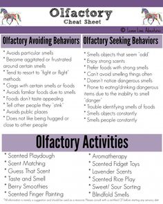 olfactory cheat sheet