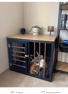 a dog in a cage on top of a book shelf