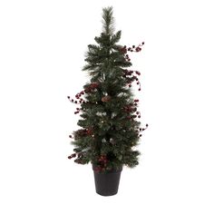 a potted christmas tree with red berries and pine cones on the top, in front of a white background