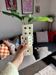 a person holding up a plant with four dices on it