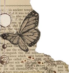 an altered photograph of a butterfly on a piece of paper with words and pictures around it