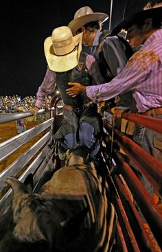 Country Boy Aesthetic, Pbr Bull Riders, Pbr Bull Riding, Bucking Bulls, Bronc Riding, Professional Bull Riders