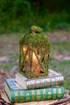 two books stacked on top of each other in front of a lantern with moss growing out of it