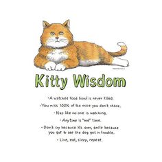 an orange and white cat laying down with the words kittyy wisdom written below it