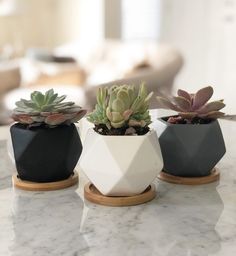 three small pots with succulents in them sitting on a marble counter top