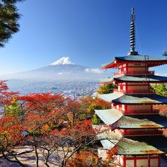 MDH Holidays Tour Packages 2024 South India Tour, Japan Architecture, Italy Tours, India Tour, Relaxing Vacations, A Fairy Tale, Dream Holiday, Luxury Holidays