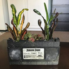 an old tape recorder planter with plants in it