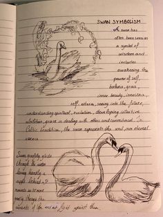 an open notebook with drawings of swans and the words swan sydicism written in cursive writing