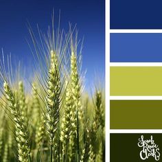 the color scheme is green, blue and brown with wheat stalks in it's foreground