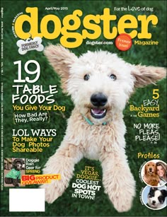 a magazine cover with a dog on it's front page and the words dogster written in yellow