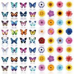 PRICES MAY VARY. What You Will Get: package comes with 15 sheets of butterfly stickers for kids, each sheet with 20 butterfly pattern designs, 15 sheets of flower stickers for kids, each sheet with 20 flower pattern designs, 600 pieces of stickers in total, each piece measures approx. 1 x 1 inch; Enough quantity and styles for your needs and you can share them with your friends and family Exquisite Design: these self adhesive spring butterfly flower stickers have bright summer colors and adorabl Easter Classroom Decorations, Insects For Kids, Butterflies Stickers, Butterflies Classroom, Butterfly Theme Party, Easter Classroom, Butterfly Sunflower, Sunflower Daisy, Spring Butterfly