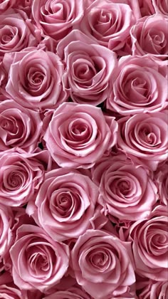 many pink roses are arranged together