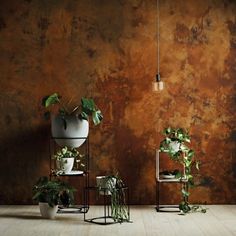 three potted plants sitting on stands in front of a wall with rusted paint