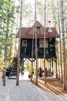 a tree house in the woods surrounded by tall pine trees and graveled area with stairs leading up to it