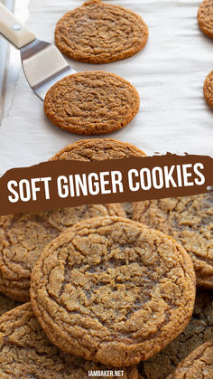 One image shows a parchment lined pan with a few cookies on it and one being lifted off by a spatula. The second image shows a close up of a soft ginger cookie on top of more cookies. Pie, Ginger Cookies Chewy, Treat Business, Soft Ginger Cookies, Chewy Ginger Cookies, Ginger Cookie Recipes, Butter Pecan Cookies, Spiced Chocolate