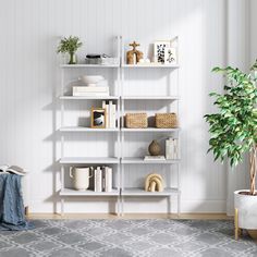 a living room with white shelving and a potted plant on the floor next to it