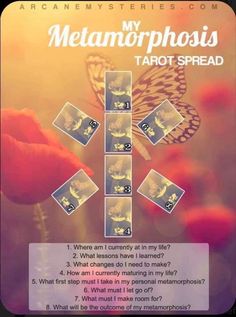 the back cover of my metamorphosis tarot spread