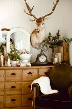 a deer's head is mounted on the wall above a dresser with an antique chair