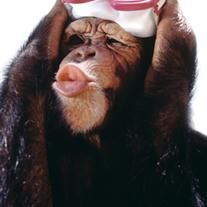 a monkey holding onto a bottle with its head in it's hands