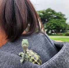 a close up of a person wearing a sweater with a turtle on it's back