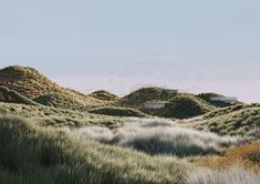 an artist's rendering of grass and bushes in the foreground with birds flying overhead