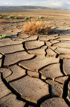 the cracked earth has grass growing on it