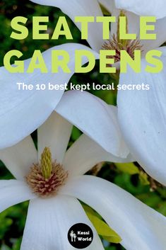 the cover of seattle's best kept local secrets, with white flowers in bloom