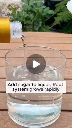 someone pouring water into a glass on top of a wooden table