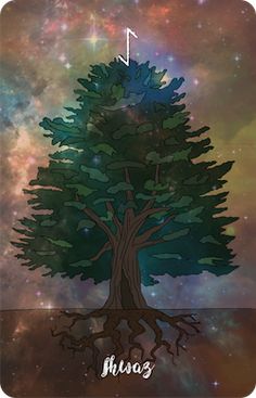 an image of a tree with the words husson on it and stars in the background