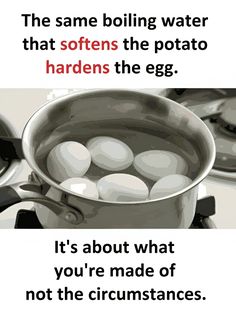 an image of eggs in a pan with caption about boiling water that softens the potato hardens the egg it's about what you're made of not the circumbtances