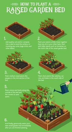 how to plant a raised garden bed in the yard info graphic by creative commonss