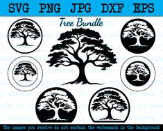 the svg tree bundle includes six different designs