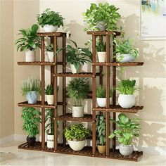 a wooden shelf filled with lots of potted plants