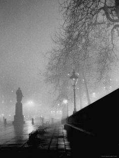 a foggy night in the city with street lights and trees on either side of it