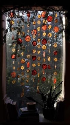 a window covered in lots of different types of glass plates hanging from it's side