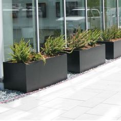 three black planters with succulents in front of a glass building on the sidewalk