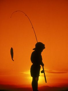 the silhouette of a person holding a fishing rod and standing in front of a sunset