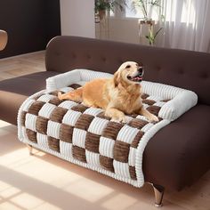 a dog laying on top of a brown and white couch