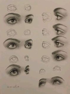 an image of different types of eyes and their features in the drawing book, by person