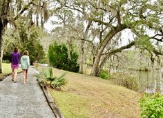 two women walking down a path next to a lake and trees with spanish moss on them