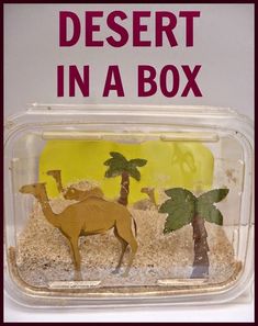 desert in a box with camels and palm trees