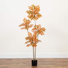 a potted plant with orange leaves in it on a wooden floor next to a white wall