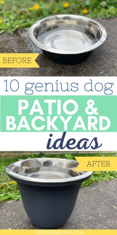 an image of a dog bowl with the words, 10 genius dog patio and backyard ideas