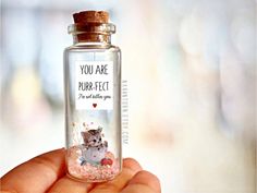 a person holding a small bottle with an animal in it that says you are purr - fect