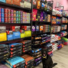 a black dog sitting in front of a store shelf filled with food and supplies for sale