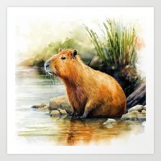 Capybara Watercolor #1 Art Print by Quicksilver Art Tree Of Life Tattoo, Animal Book, Water Art, Color Pencil Art, Watercolor Animals, Art Watercolor