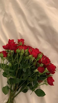 a bouquet of red roses sitting on top of a white sheet