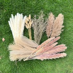 PRICES MAY VARY. 【Package of 100 Pieces】: The package contains 6 kinds of 100pcs different natural dried pampas grass flowers, with a total length of 17 inches. Can be cut to length to decorate your pampas vase. 【Warm Tips】 Take it out of the carton for the first time, please shake it gently. After a long process of packing and traveling, please allow it to come off, so it seems uninspired. Don't worry, just follow the hint card, give it a little time and it will recover. 【Fluffy and Soft Down】P Pampas Grass Bouquet, Dried Pampas, Rustic Party, Pampas Grass Decor, Grass Decor, Grass Flower, Boho Bridal Shower, Farmhouse Wedding, Wedding Boho