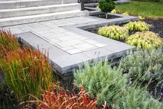 an outdoor area with various plants and steps