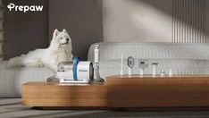 a white dog laying on top of a couch next to a pile of hair dryers